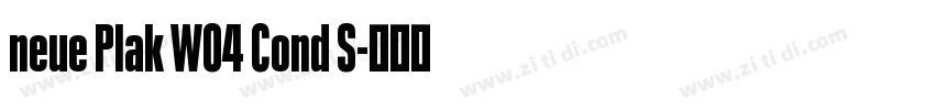 neue Plak W04 Cond S字体转换
